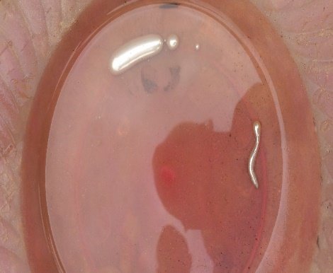 D:\doctorat\minmidt\Camera - copie (2)\DSC_0390.jpg