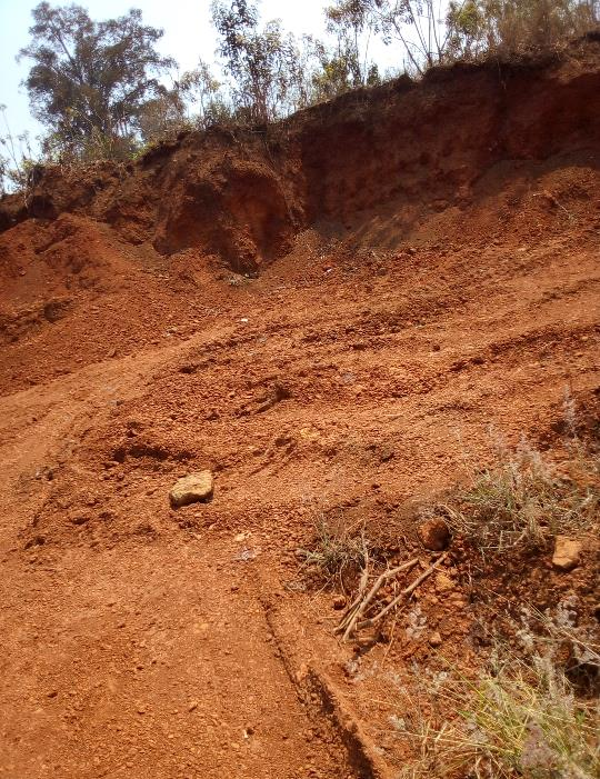 Illustration image31